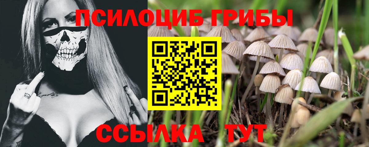Псилоцибиновые грибы ЛСД Прокопьевск