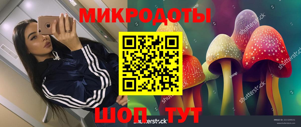 Прокопьевск  Псилоцибиновые грибы Psilocybe  цена наркотик  Вход с VPN 